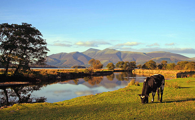 Best of British summer: Manesty Farm, England