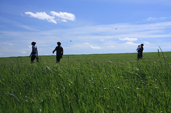 Best of British summer: Kirby Hill, England