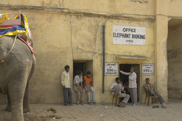 Earthbound images: Amber Fort, Rajasthan, India