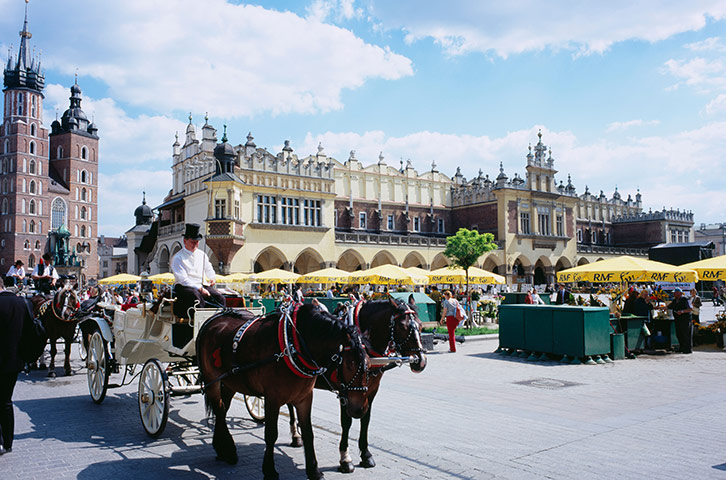 viewfinder24: horses