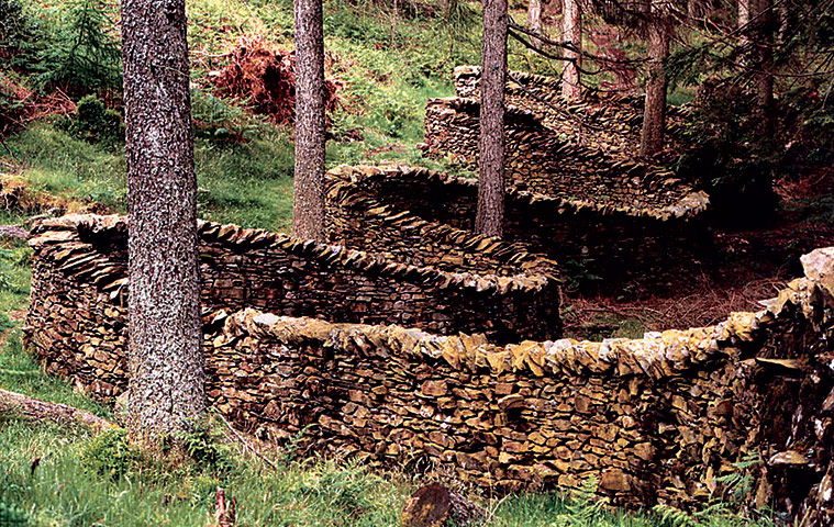 Sculpture Parks: Greizedale Forest Park, Cumbria