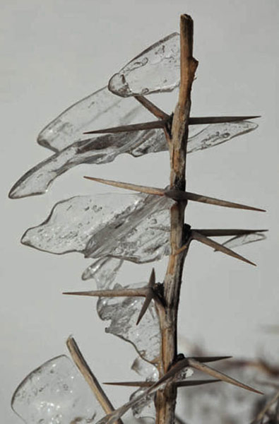 Lebenon: Ice sculpted by the rain and wind, Lebanon