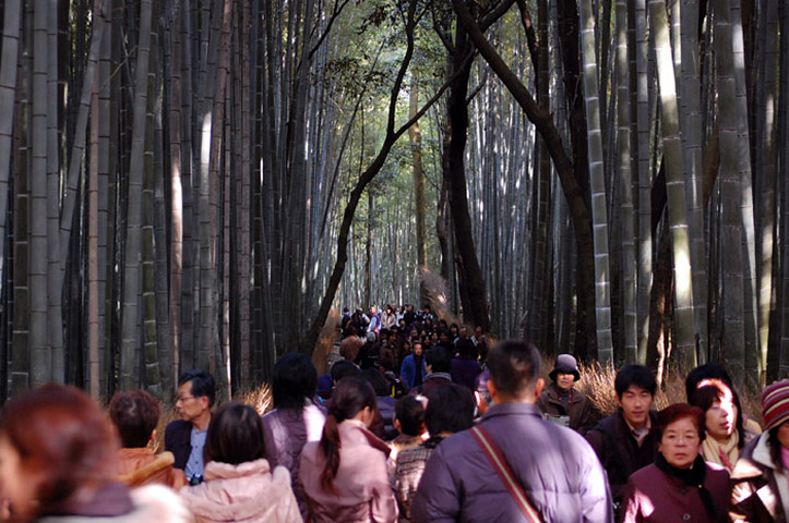 Been there comp Nov 2010: Crowds: Kyoto