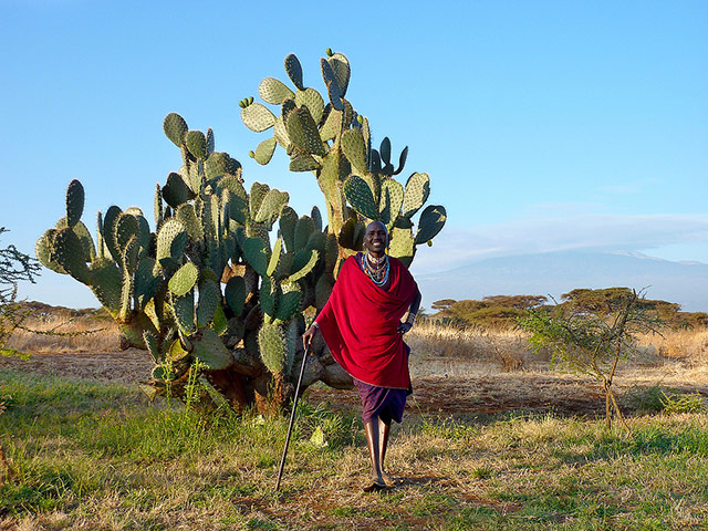 Been there Flickr Nov 10: Masai with mount Kilimanjaro