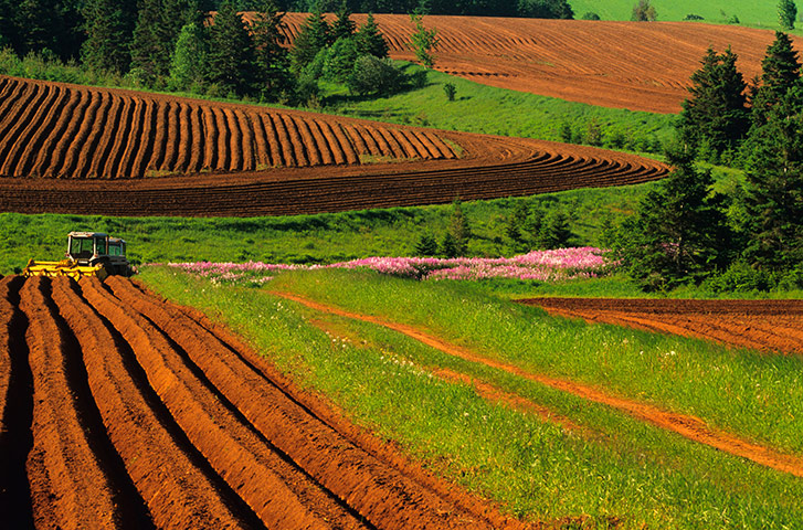 viewfinder: Potato fields