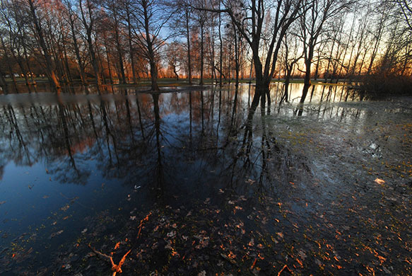 been there march: A lake in Estonia