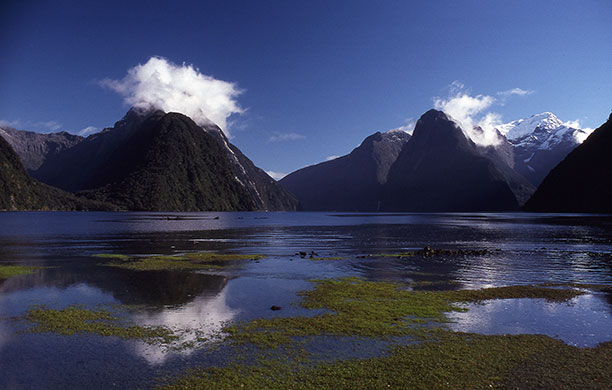 been there march: Milford Sound, New Zealand