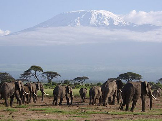 Been there comp June 2010: Amboseli national park, Kenya