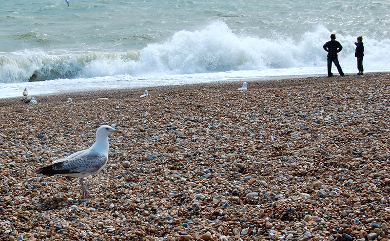 Been there July 2010: Summer in Brighton