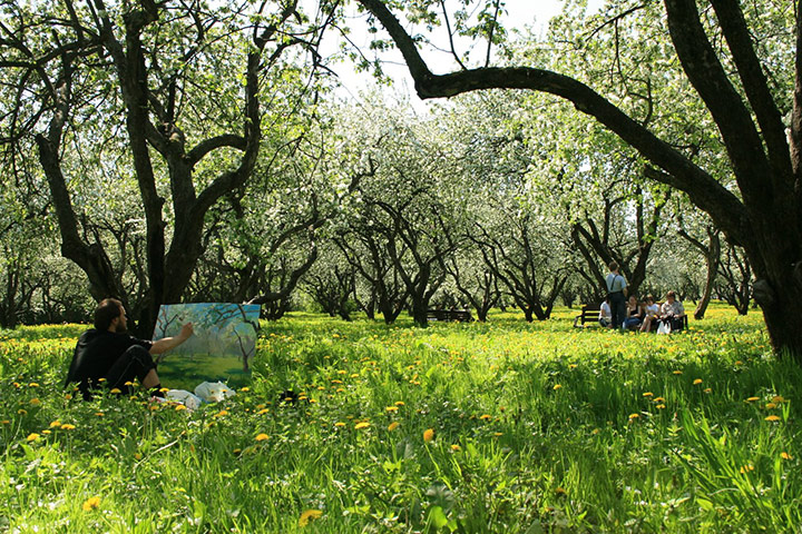 Been there July 2010: Artist in Kolomenskoe Park, Moscow