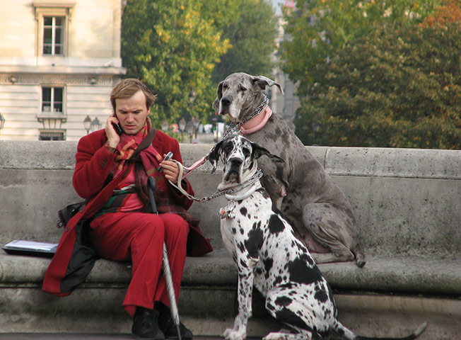August Been there comp: Young man in Paris
