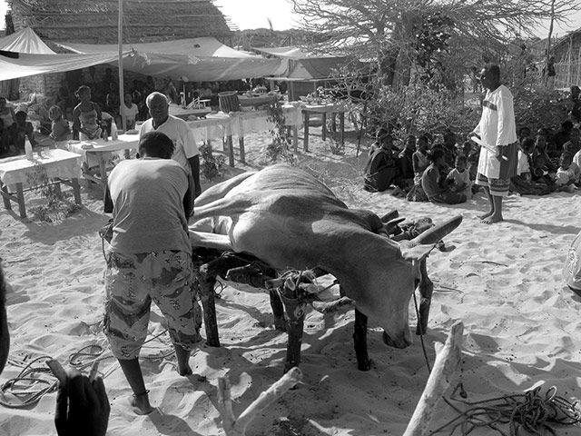 August Been there comp: Sacrifice in Madagascar