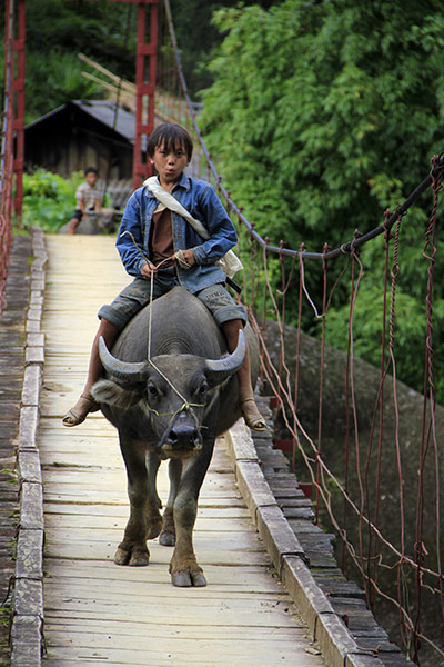 August Been there comp: Boy and buffalo, Vietnam