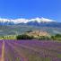 Biking holidays: Bike tour of Provence