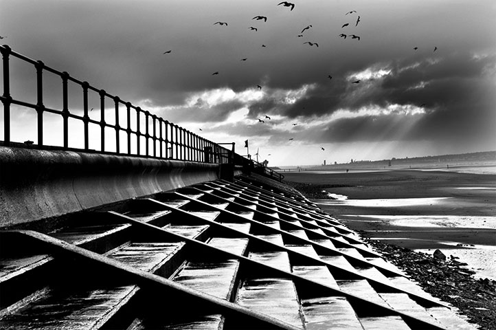 Been There February Comp: Sarah Franklin, steps