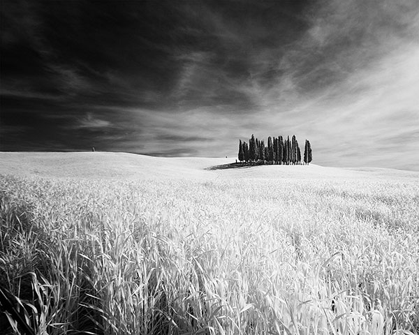Been There February Comp: Kate Gare, field