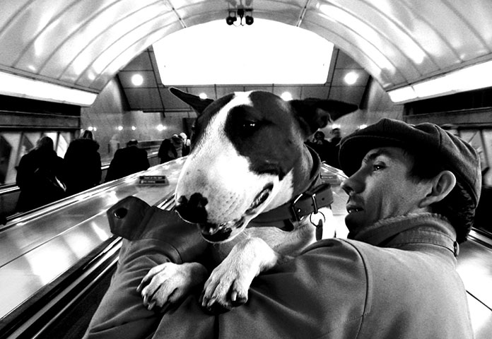 Been There February Comp: Lauren Meulman, dog