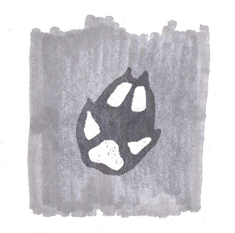 Spotters guide tracks: Fox