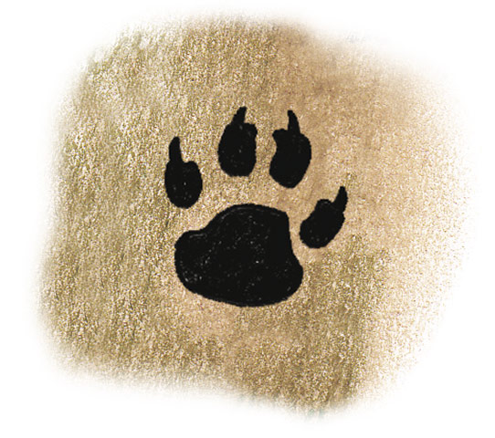 Spotters guide tracks: Dog