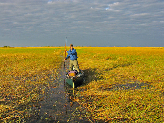 congo: bangwelu swamp