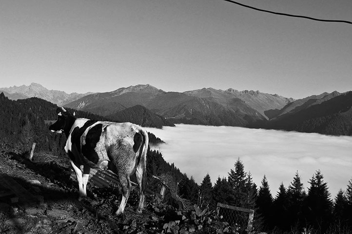 Mountains and sea: Mountains and sea