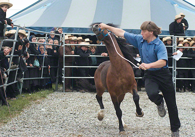 TPOYA: Lancaster County main horse event – Chase Guttman