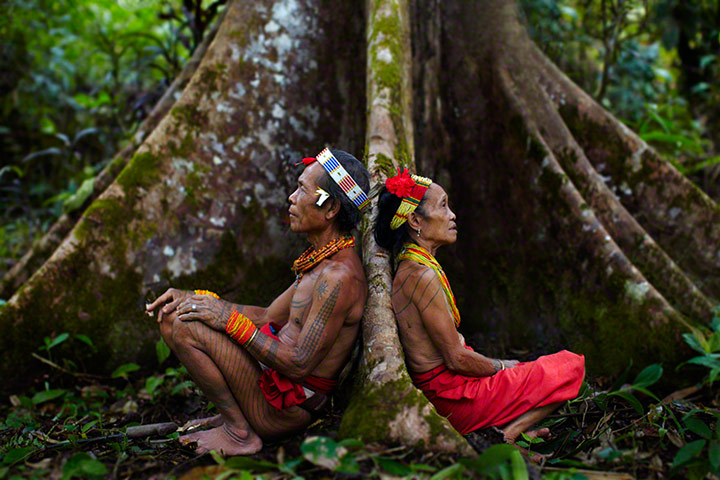 TPOYA: Siberut Island, West Sumatra, Indonesia