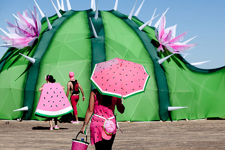 Afrikaburn festival: Afrikaburn festival, Tankwa, South Africa