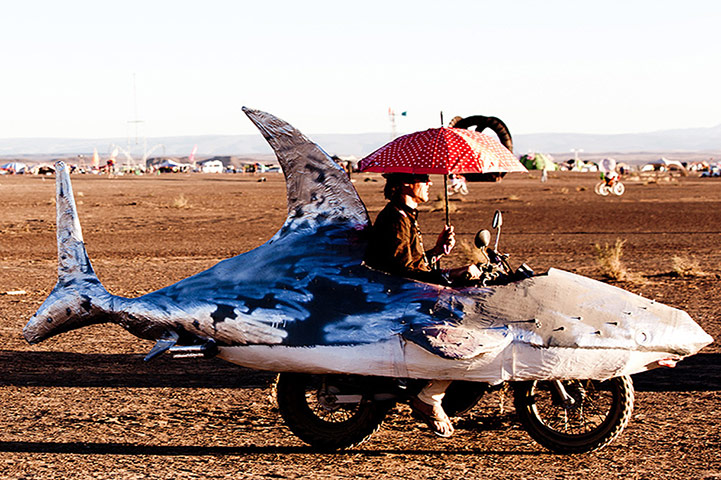 Afrikaburn festival: Afrikaburn festival, Tankwa, South Africa 