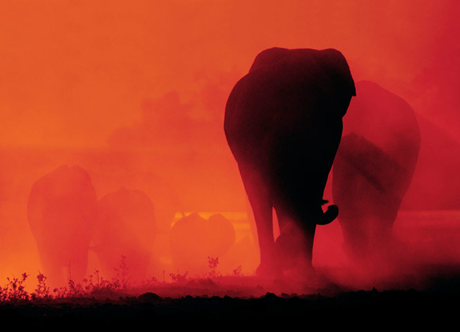 natgeo: Chris Weston 1