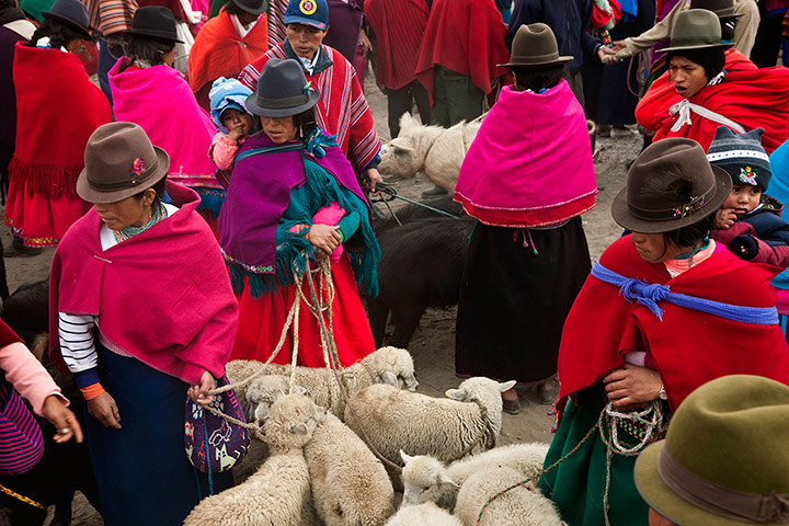 Ecuador train: Guamote market, nr Riobamba, Ecuador