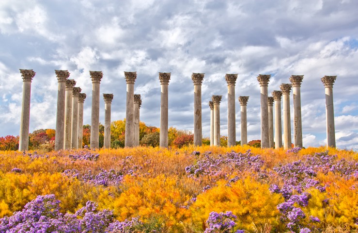 Buildings gallery: National Capitol Columns at the National Arboretum in Washington DC