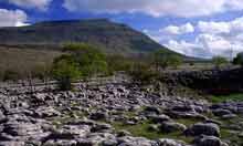 Limestone Pavement in Yorkshire Dales