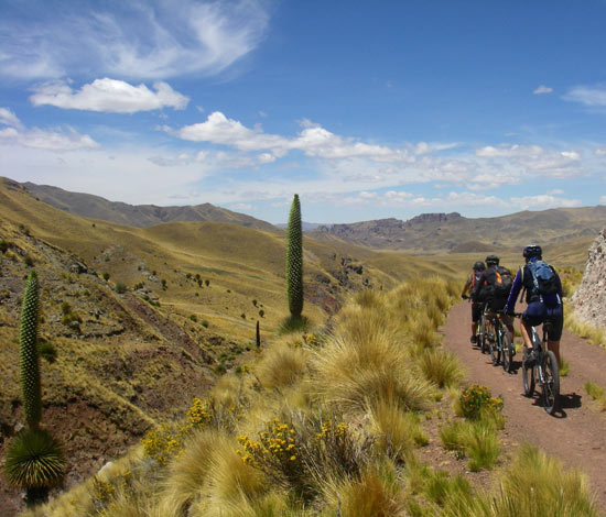 Mountain biking at Machu Picchu