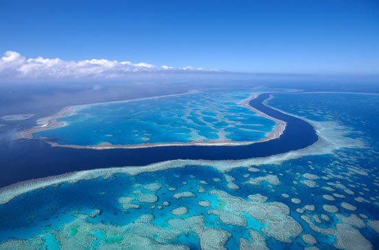 Great Barrier Reef, Australia