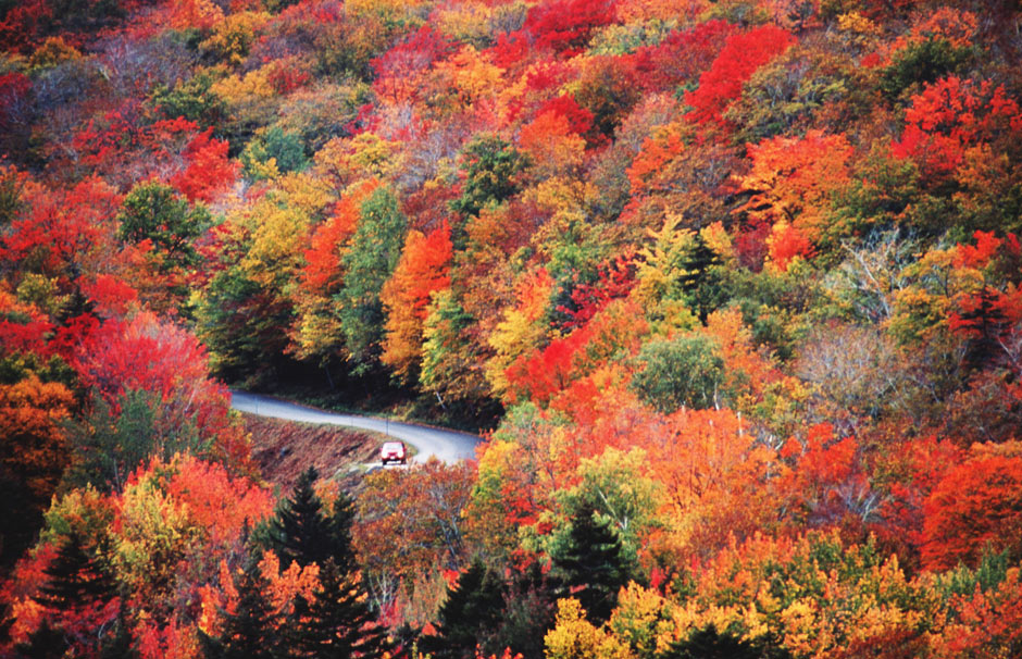 Autumn in New England