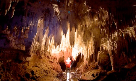 Nikau Cave, New Zealand