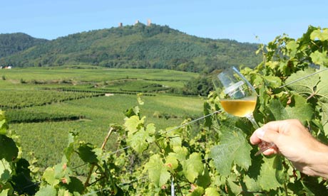 Maison Emile Beyer winemaker, Alsace