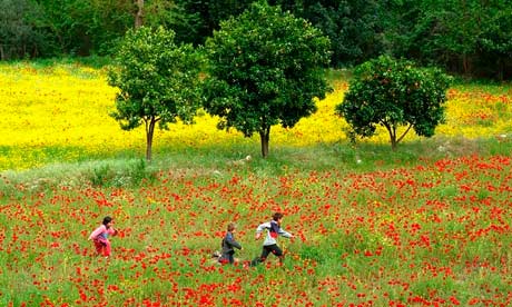 Organic Eco Farm in Fethiye