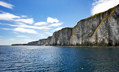 Bempton cliffs