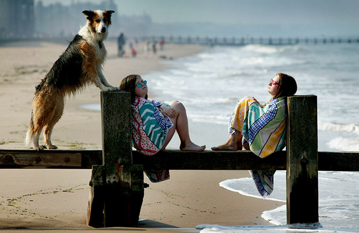 Viewfinder040813: Viewfinder2