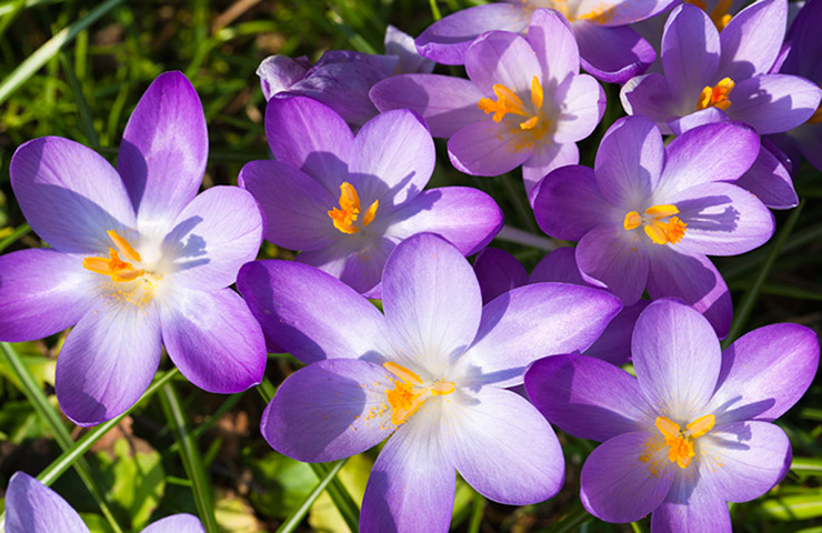 Viewfinder01092013: Viewfinder image 4