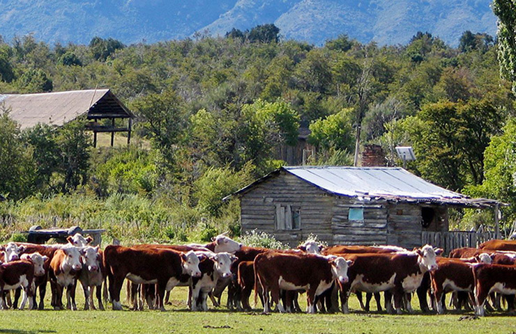 Viewfinder08092103: Viewfinder04