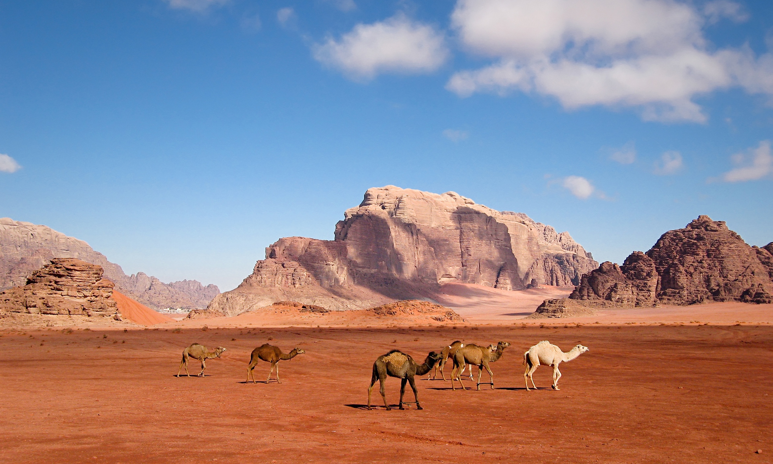 working-holidays-a-bedouin-tour-business-in-jordan-s-wadi-rum-travel