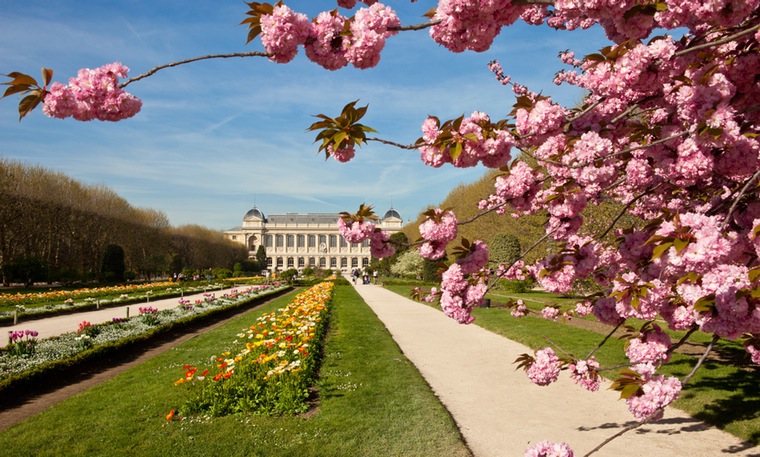 ParisPicQuiz: Image three