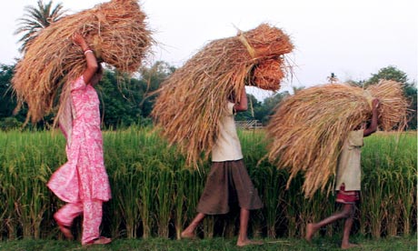 An Indian farming family