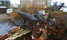 A tree is uprooted by strong winds in Havant, Hampshire